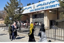 طالبان نے افغان طالبات کیلئے یونیورسٹی کی تعلیم پر عائد کی پابندی، آخر کتنی ہے سچائی؟