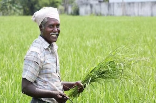 ہندوستانی حکومت نے کسانوں کی بہبود کے لیے کئی پروگرام متعارف کرائے ہیں