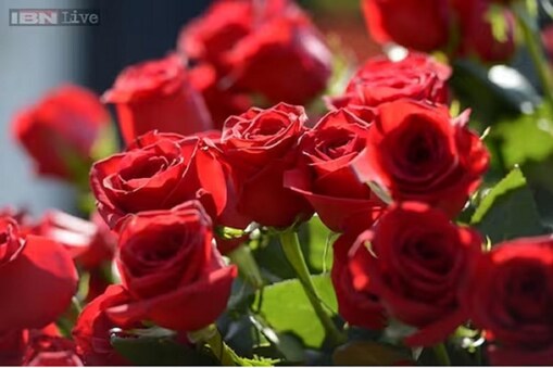 اس لحاظ سے کچھ پھول فروش اب سے مزید گلاب کے پھولوں کا آرڈر دے رہے ہیں۔ 