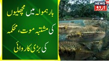 بارہمولہ میں مچھلیوں کی مشتبہ موت پر فارم مالک کا اظہار تشویش، معاوضے کا کیا مطالبہ