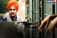 پولیس نے سدھو موسی والا کے نوعمر پرستار کو کیا گرفتار، جانیں وجہ؟
