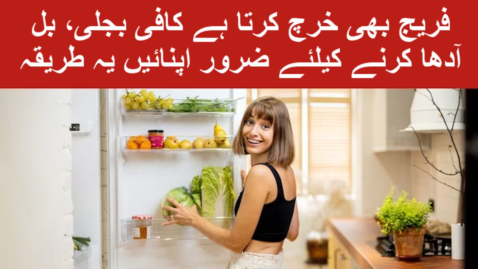 How to use refrigerator efficiently to save electricity check tips