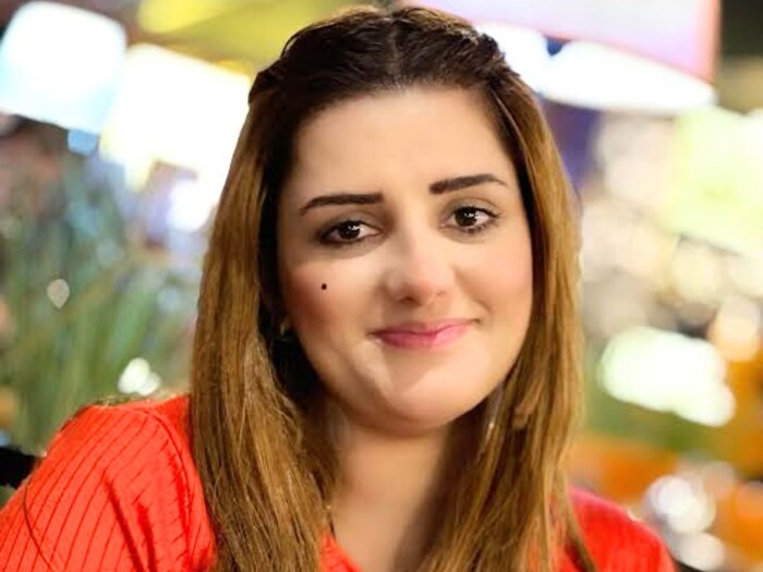 پاکستان انتخابات میں اترے کئی مشہور ستارے، اداکارہ نور بخاری سے صندل ...