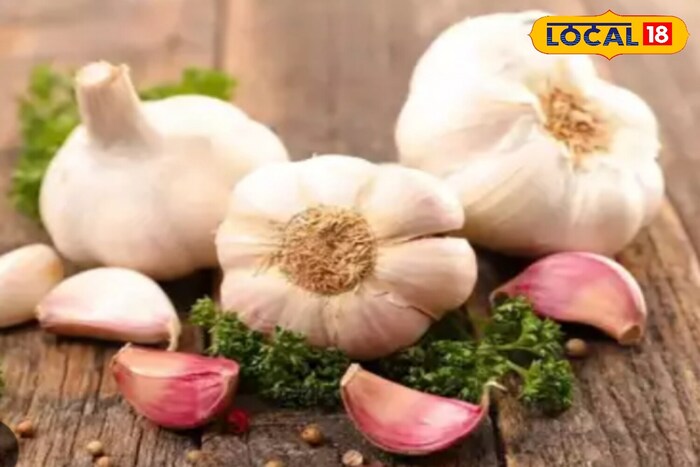garlic,Garlic benefits,Health, Diet Tips, Garlic Benefits, Garlic Benefits in Empty Stomach, Khali pet Lahsun Khane ke Fayde, Lahsun Khane ke Fayde, urdu news, breaking news in urdu, لہسن کھانے کے فائدے، لہسن کا کس طرح استعمال کریں؟