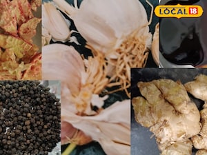 Homemade Remedies Uncover Relief for Cough: Ginger, Black Pepper, Honey, Garlic, Pomegranate Peels