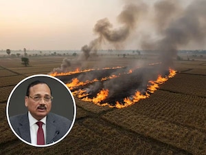 CJI Surya Kant Uncovers Key Questions on Delhi-NCR Air Pollution, Challenges Stubble Blame