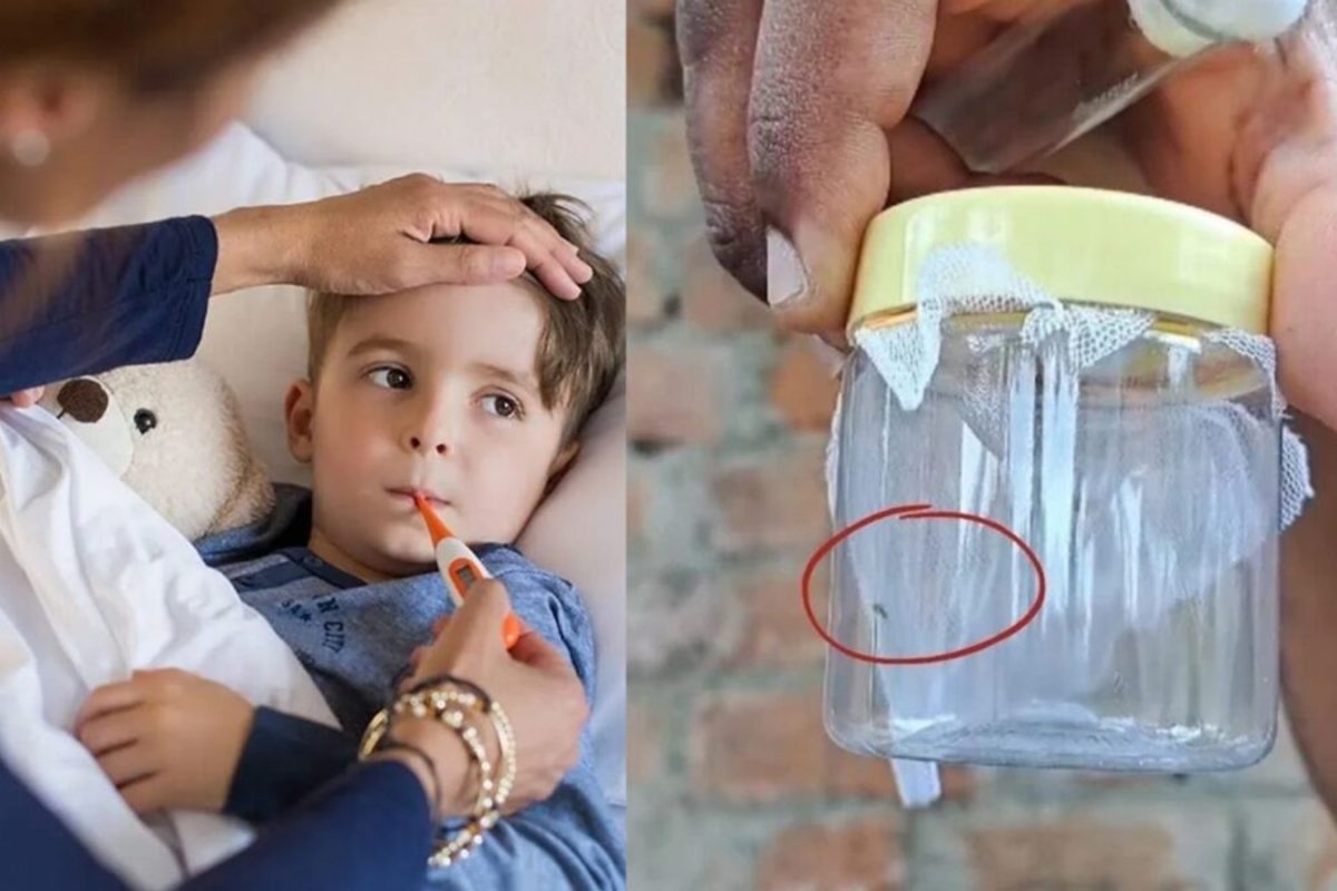 گجرات میں چاندی پورہ وائرس سے 12 بچوں کی موت ، جانیں کیسے پھیلتا ہے یہ وائرس اور اس کی علامات گجرات میں چاندی پورہ وائرس سے 12 بچوں کی موت ، جانیں کیسے پھیلتا ہے یہ وائرس اور اس کی علامات