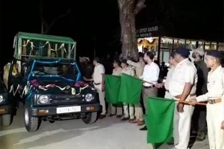கிர் வனப்பகுதியில் மீண்டும் லயன் சஃபாரி தொடங்கியது கிர் வனப்பகுதியில் மீண்டும் லயன் சஃபாரி தொடங்கியது