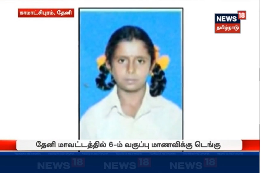 டெங்கு, பன்றிக்காய்ச்சல்- தமிழகத்திற்கு என்னதான் ஆச்சு