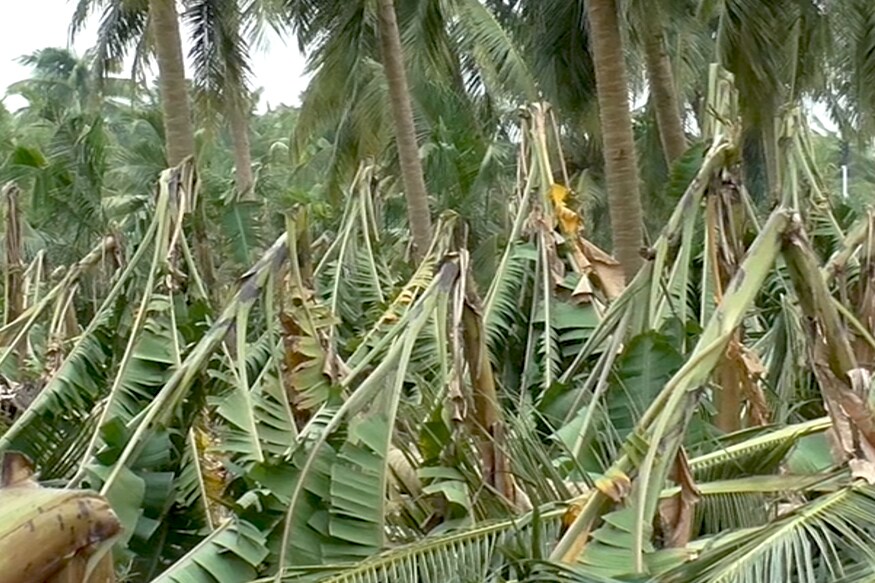 கஜா புயல், gaja, cyclone