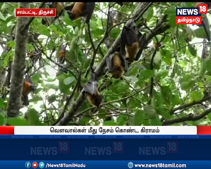 பட்டாசு வெடிக்காமால் தீபாவளி கொண்டாடும் கிராமம்