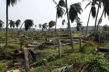கஜா பாதித்த டெல்டாவின் நிலையும் தேவையும்!