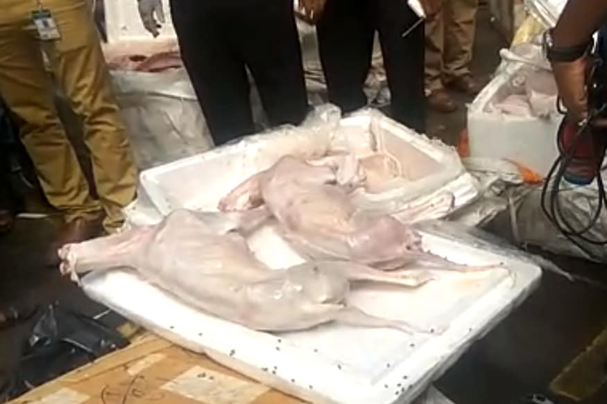 Dog Meat | நாய்க் கறி