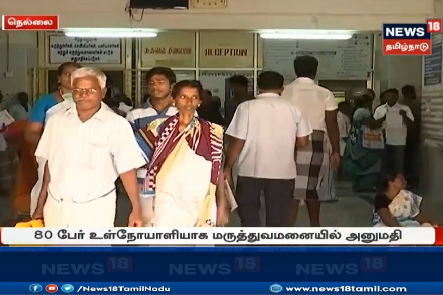 நெல்லையில் வேகமாக பரவும் பன்றிக்காய்ச்சல்