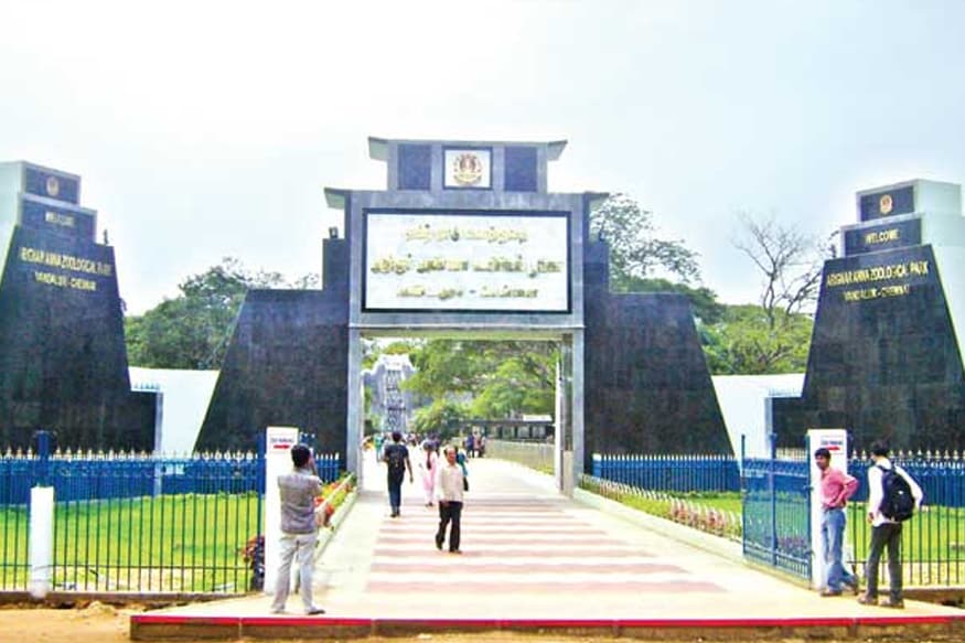 Vandalur Zoo, வண்டலூர் உயிரியல் பூங்கா,