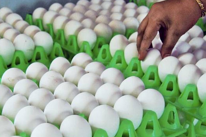 முட்டை: முட்டை பல வகைகளில் உடலுக்கு ஊட்டச்சத்துகளை அளிக்க வல்லது. எளிதில் கிடைக்கக் கூடிய உணவும் முட்டை என்பதால் தினமும் எடுத்துக் கொண்டால் விட்டமின் டி குறைபாட்டைத் தவிர்க்கலாம். குறிப்பாக முட்டையின் மஞ்சள் கருவில் விட்டமின் டி அதிகமாக இருக்கிறது. முட்டை: முட்டை பல வகைகளில் உடலுக்கு ஊட்டச்சத்துகளை அளிக்க வல்லது. எளிதில் கிடைக்கக் கூடிய உணவும் முட்டை என்பதால் தினமும் எடுத்துக் கொண்டால் விட்டமின் டி குறைபாட்டைத் தவிர்க்கலாம். குறிப்பாக முட்டையின் மஞ்சள் கருவில் விட்டமின் டி அதிகமாக இருக்கிறது.
