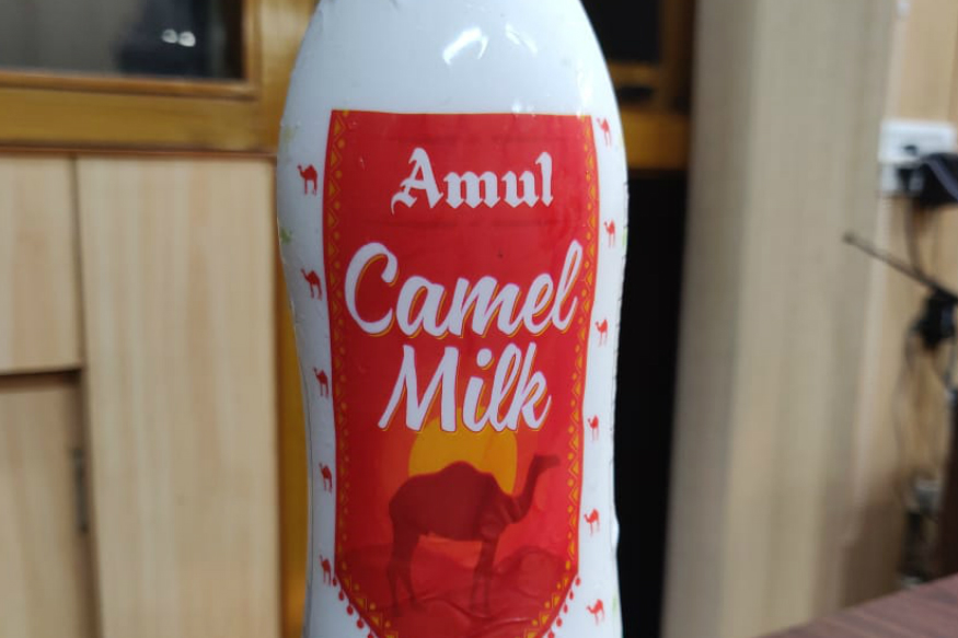 ஒட்டகப் பால் விற்பனையை அறிமுகம் செய்த அமுல்!
