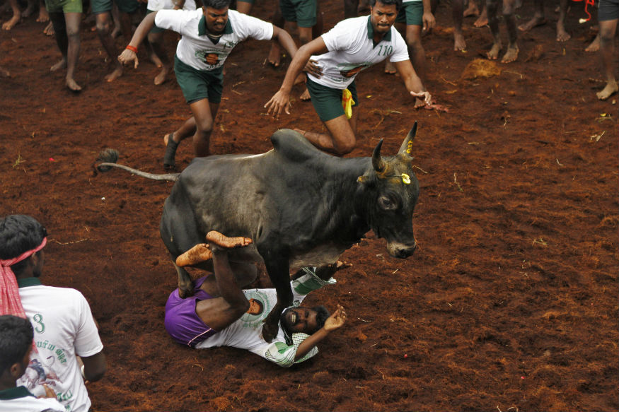 தமிழர்களின் பாரம்பரிய விளையாட்டுகள்