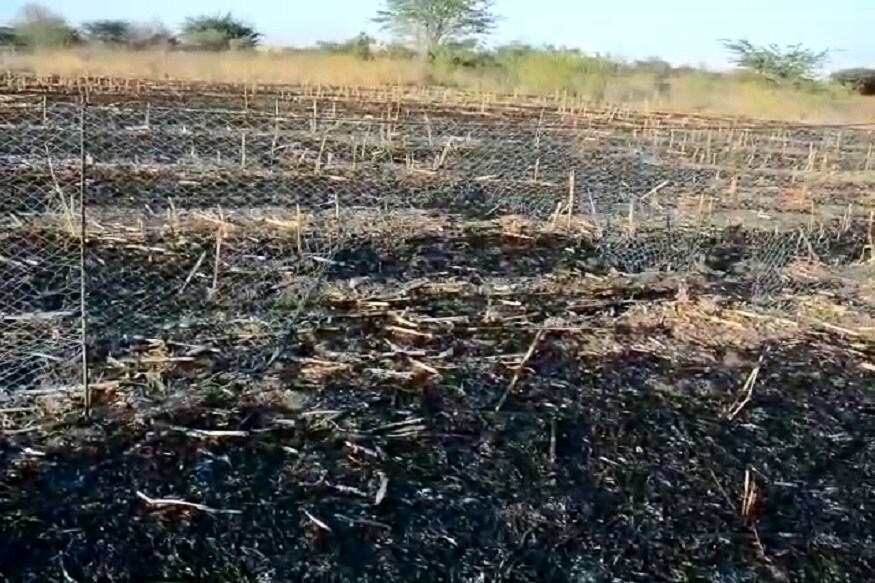 விருதுநகர் மாவட்டம் திருச்சுழி அருகே அடையாளம் தெரியாத நபர்கள் தீயிட்டுக் கொளுத்தியதில், 29 செம்மறி ஆடுகள் உயிரிழந்தன. சம்பவ இடத்திற்கு வந்த காவல்துறையினர் கூடாரத்திற்கு தீ வைத்த நபர்கள் யார் என விசாரணை செய்து வருகின்றனர். விருதுநகர் மாவட்டம் திருச்சுழி அருகே அடையாளம் தெரியாத நபர்கள் தீயிட்டுக் கொளுத்தியதில், 29 செம்மறி ஆடுகள் உயிரிழந்தன. சம்பவ இடத்திற்கு வந்த காவல்துறையினர் கூடாரத்திற்கு தீ வைத்த நபர்கள் யார் என விசாரணை செய்து வருகின்றனர்.