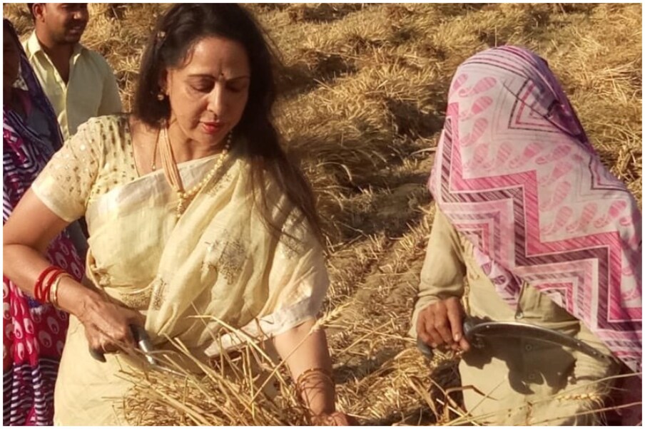  கடந்த மாதம் 25-ம் தேதி வேட்புமனு தாக்கல் செய்த ஹேமமாலினி மதுரா தொகுதியில் பல பகுதிகளுக்குச் சென்று பிரசாரம் செய்து வருகிறார். (Image:ANI)