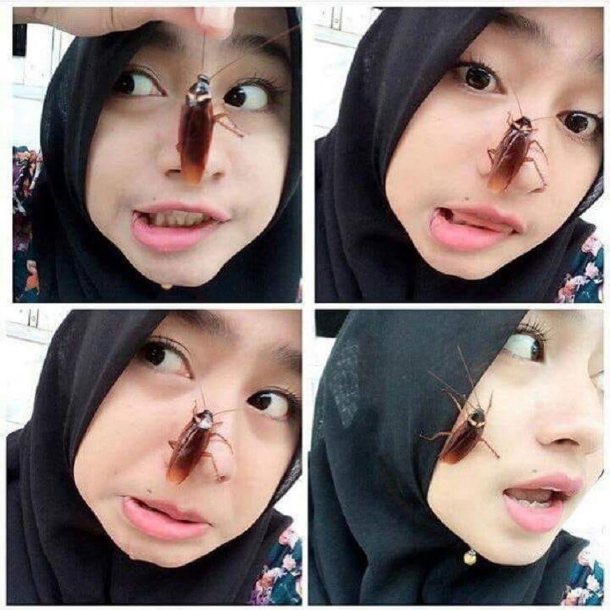 கரப்பான்பூச்சியை கண்டாலே பயந்து ஓடும் காலம் மாறி இன்றைய இளைஞர்கள் குறிப்பாக பெண்கள் கரப்பான் பூச்சியைப் பிடித்து முகத்தில் விடும் செயல் ஆச்சரியத்தில் ஆழ்த்துகிறது. கரப்பான்பூச்சியை கண்டாலே பயந்து ஓடும் காலம் மாறி இன்றைய இளைஞர்கள் குறிப்பாக பெண்கள் கரப்பான் பூச்சியைப் பிடித்து முகத்தில் விடும் செயல் ஆச்சரியத்தில் ஆழ்த்துகிறது.