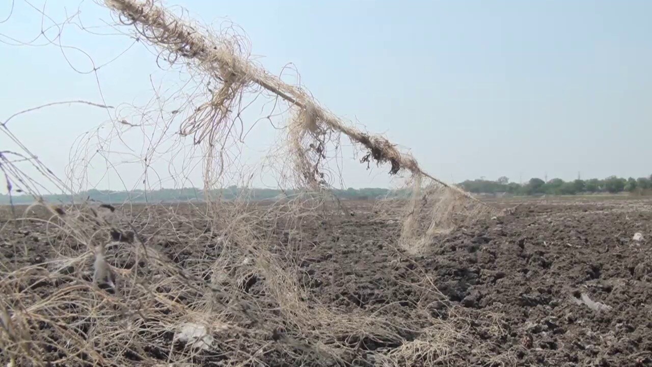தமிழகம், புதுச்சேரி கிராமங்களைச் சுற்றி 600 ஏக்கர் பரப்பளவில் அமைந்துள்ளது ஊசுடு ஏரி. கண்ணுக்கு எட்டிய தூரம் வரை கடல்போல் காட்சியளிக்கும். இந்த ஏரி தற்போது வறண்டு குட்டை போல தெரிகிறது. (படம் - இளவமுதன் - புதுச்சேரி) தமிழகம், புதுச்சேரி கிராமங்களைச் சுற்றி 600 ஏக்கர் பரப்பளவில் அமைந்துள்ளது ஊசுடு ஏரி. கண்ணுக்கு எட்டிய தூரம் வரை கடல்போல் காட்சியளிக்கும். இந்த ஏரி தற்போது வறண்டு குட்டை போல தெரிகிறது. (படம் - இளவமுதன் - புதுச்சேரி)