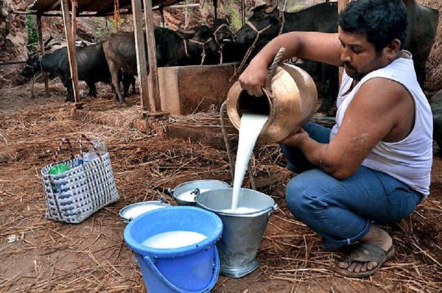 செயற்கையான பால் எனில் அதை முகர்ந்து பார்த்தாலே எளிதில் கண்டுபிடித்துவிடலாம். பாலில் சோப்பு வாசனை அல்லது இரசாயன வாசனை வந்தால் அது செயற்கைப் பால். அதை அப்படியே கையில் கொஞ்சம் ஊற்றித் தேய்த்துப் பார்த்தால் வழவழப்பாக சோப்பு போல் இருந்தால் அது செயற்கைப் பால். செயற்கையான பால் எனில் அதை முகர்ந்து பார்த்தாலே எளிதில் கண்டுபிடித்துவிடலாம். பாலில் சோப்பு வாசனை அல்லது இரசாயன வாசனை வந்தால் அது செயற்கைப் பால். அதை அப்படியே கையில் கொஞ்சம் ஊற்றித் தேய்த்துப் பார்த்தால் வழவழப்பாக சோப்பு போல் இருந்தால் அது செயற்கைப் பால்.