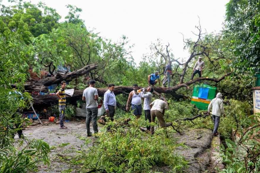மீரட்டில் பெய்த கனமழையின் போது பல்வேறு வாகனங்களில் மரம் விழுந்ததை அடுத்து நிவாரணப் பணிகள் நடைபெற்று வருகின்றன. (Image: PTI) மீரட்டில் பெய்த கனமழையின் போது பல்வேறு வாகனங்களில் மரம் விழுந்ததை அடுத்து நிவாரணப் பணிகள் நடைபெற்று வருகின்றன. (Image: PTI)