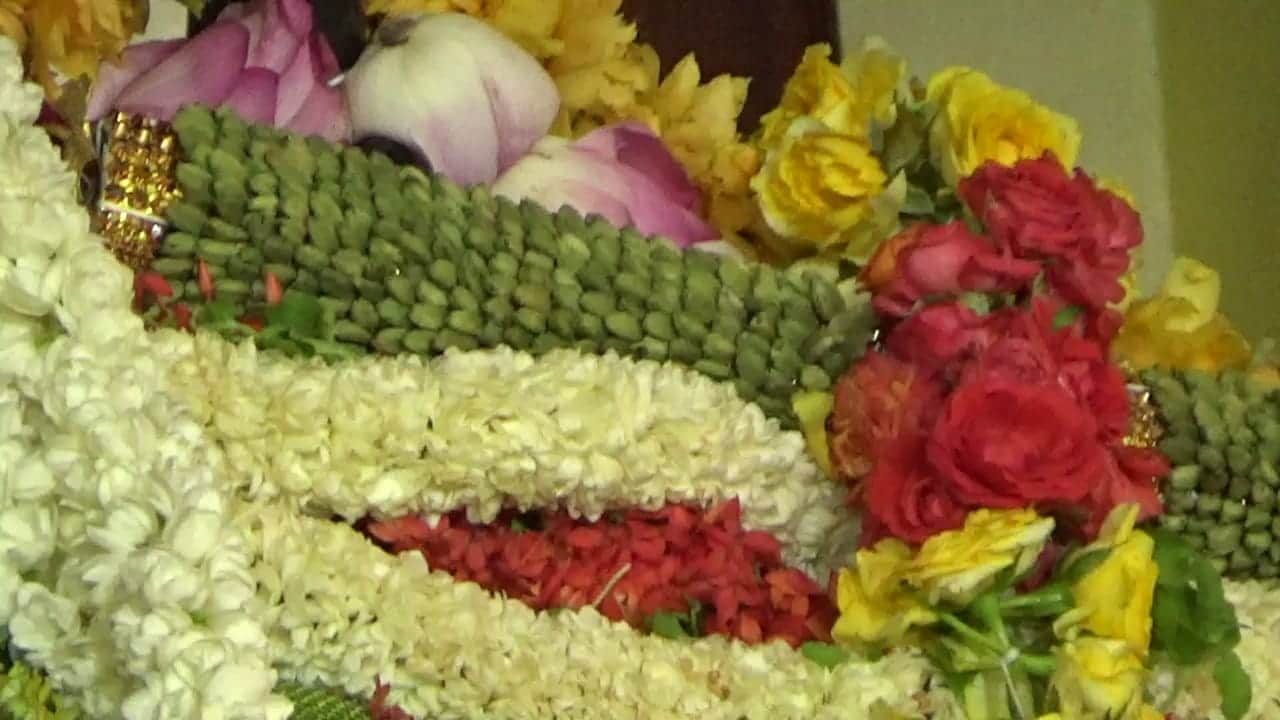 15-ம் நாளான நேற்று 1லட்சத்து 25,000 பக்தர்கள் சாமி தரிசனம் செய்தனர். முக்கிய பிரமுகர்களும் பொதுமக்களும் நீண்ட வரிசைகளில் காத்திருந்து சுவாமியை தரிசித்து சென்றனர். 15-ம் நாளான நேற்று 1லட்சத்து 25,000 பக்தர்கள் சாமி தரிசனம் செய்தனர். முக்கிய பிரமுகர்களும் பொதுமக்களும் நீண்ட வரிசைகளில் காத்திருந்து சுவாமியை தரிசித்து சென்றனர்.