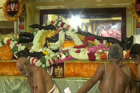 அத்திவரதர்: துணை ராணுவ பாதுகாப்பு தேவை - உயர் நீதிமன்றத்தில் முறையீடு! அத்திவரதர்: துணை ராணுவ பாதுகாப்பு தேவை - உயர் நீதிமன்றத்தில் முறையீடு!