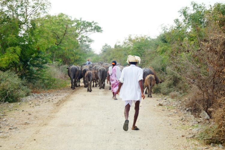 கணக்கெடுப்பில் புதிதாக உருவாக்கப்பட்ட 14 மாவட்டங்களின் வரைப்படத்தில் 460 கிராமங்களும், 2 நகரங்களும் விடுபட்டுள்ளது. மத்திய உள்துறை அமைச்சகம் மற்றும் மக்கள் தொகை கணக்கெடுப்பு இயக்குநரகம் நடத்திய கணக்கெடுப்பு இந்த உண்மை வெளியுலகிற்கு தெரியவந்துள்ளது. கணக்கெடுப்பில் புதிதாக உருவாக்கப்பட்ட 14 மாவட்டங்களின் வரைப்படத்தில் 460 கிராமங்களும், 2 நகரங்களும் விடுபட்டுள்ளது. மத்திய உள்துறை அமைச்சகம் மற்றும் மக்கள் தொகை கணக்கெடுப்பு இயக்குநரகம் நடத்திய கணக்கெடுப்பு இந்த உண்மை வெளியுலகிற்கு தெரியவந்துள்ளது.