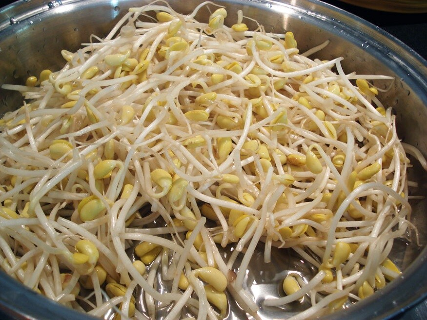 இரத்த ஓட்டத்திற்கும் முளைக்கட்டிய தானியங்கள் உதவுகின்றன. இதில் அதிக அளவில் காப்பர் மற்றும் இரும்புச் சத்து உள்ளதால் இரத்த அணுக்களை அதிகரிக்கச்செய்யும். மேலும் ஆக்ஸிஜனை உறுப்புகளுக்கு செலுத்தி இரத்த ஓட்டத்தை சீராக்கும். இரத்த ஓட்டத்திற்கும் முளைக்கட்டிய தானியங்கள் உதவுகின்றன. இதில் அதிக அளவில் காப்பர் மற்றும் இரும்புச் சத்து உள்ளதால் இரத்த அணுக்களை அதிகரிக்கச்செய்யும். மேலும் ஆக்ஸிஜனை உறுப்புகளுக்கு செலுத்தி இரத்த ஓட்டத்தை சீராக்கும்.