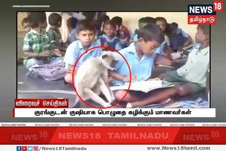 Video | பள்ளிப்படிப்பில் ஆர்வம் காட்டும் குரங்கு... தினமும் தவறாமல் பள்ளிக்கு வந்துவிடுகிறதாம்... Video | பள்ளிப்படிப்பில் ஆர்வம் காட்டும் குரங்கு... தினமும் தவறாமல் பள்ளிக்கு வந்துவிடுகிறதாம்...