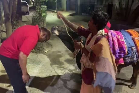 'பூம் பூம்' மாட்டிடம் ஆசிபெற்ற அமைச்சர் ஜெயக்குமார் - வீடியோ 'பூம் பூம்' மாட்டிடம் ஆசிபெற்ற அமைச்சர் ஜெயக்குமார் - வீடியோ