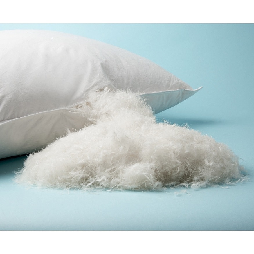 இறக்கைகள் பயன்படுத்திய தலையணை ( Feather pillows ) : படுத்தால் ஒரு இடத்தில் தூங்க மாட்டேன். கடிகாரம் போல் சுழன்று சுழன்று படுப்பேன் என்போருக்கு இந்த தலையணை ஏற்றதாக இருக்கும். கழுத்து வலியும் குறையும். இறக்கைகள் பயன்படுத்திய தலையணை ( Feather pillows ) : படுத்தால் ஒரு இடத்தில் தூங்க மாட்டேன். கடிகாரம் போல் சுழன்று சுழன்று படுப்பேன் என்போருக்கு இந்த தலையணை ஏற்றதாக இருக்கும். கழுத்து வலியும் குறையும்.