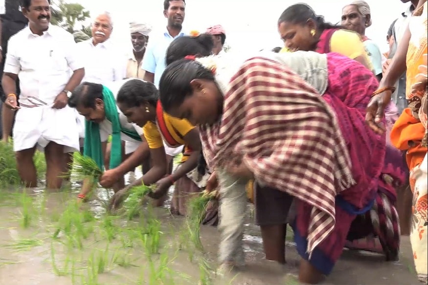 தன்னை ஒரு விவசாயி என்றும், விவசாயிகளுக்கான முதலமைச்சர் என்று அடிக்கடி சொல்பவர் தமிழக முதலமைச்சர் எடப்பாடி பழனிசாமி. தன்னை ஒரு விவசாயி என்றும், விவசாயிகளுக்கான முதலமைச்சர் என்று அடிக்கடி சொல்பவர் தமிழக முதலமைச்சர் எடப்பாடி பழனிசாமி.