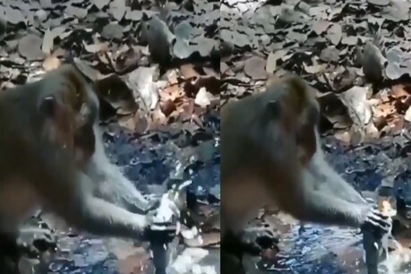 தண்ணீரை வீணாக்காதீர்... அருமை எங்களுக்கே புரியும்... உணர்த்தும் குரங்கு - வைரல் வீடியோ தண்ணீரை வீணாக்காதீர்... அருமை எங்களுக்கே புரியும்... உணர்த்தும் குரங்கு - வைரல் வீடியோ