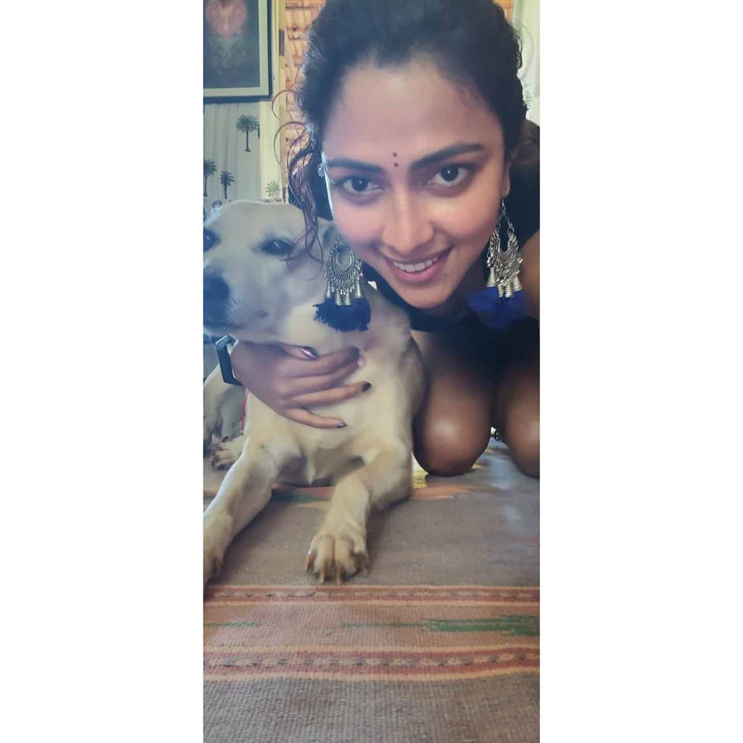 நடிகை அமலாபால் நடிகை அமலாபால்
