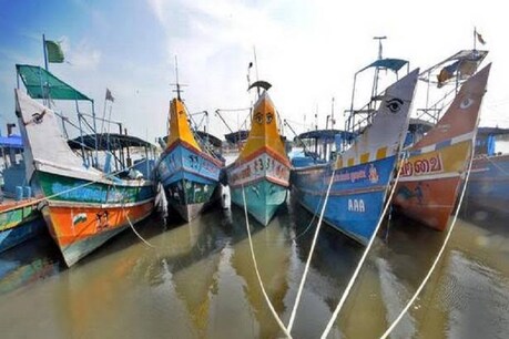 முடங்கிய மீன்பிடித் தொழில்: மீன்பிடித் தடைக்காலத்தைக் குறைக்கக் கோரும் மீனவர்கள்..! முடங்கிய மீன்பிடித் தொழில்: மீன்பிடித் தடைக்காலத்தைக் குறைக்கக் கோரும் மீனவர்கள்..!