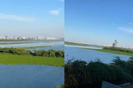 தெள்ளத் தெளிவாக காட்சியளிக்கும் யமுனா நதிநீர்! தெள்ளத் தெளிவாக காட்சியளிக்கும் யமுனா நதிநீர்!