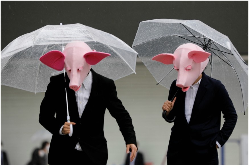 People wearing masks of pigs were seen at a shopping district in Tokyo, Japan. (Image: Reuters) People wearing masks of pigs were seen at a shopping district in Tokyo, Japan. (Image: Reuters)