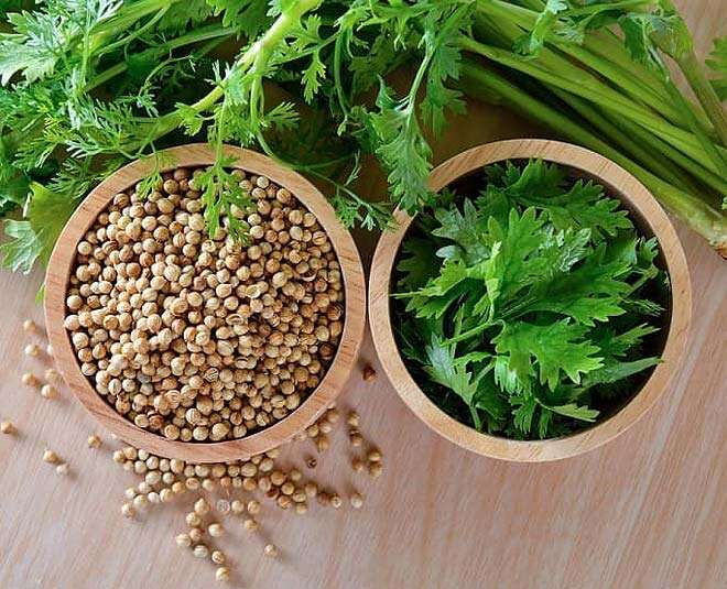 கொத்தமல்லி விதைகள் : கொத்தமல்லி விதைகள் உங்கள் மாதவிடாய் முன் கூட்டியே வர தூண்டுகிறது. ஏனெனில் இதிலுள்ள எமனகோக் பண்புகள் உங்கள் ஹார்மோன்களை தூண்டுகிறது. இதற்கு 1 தேக்கரண்டி கொத்தமல்லி விதைகளை எடுத்து 2 கப் தண்ணீரில் வேகவைக்கவும். 2 கப் தண்ணீர் ஒரு காப்பாக குறையும் வரை கொதிக்க வைத்து பின்னர் ஆறவைத்து குடிக்கவும். நீங்கள் மாதவிடாய் வர வேண்டும் என நினைக்கும் ஒரு வாரத்திற்கு முன்னர் இரண்டு நாட்களுக்கு ஒரு முறை என இந்த தண்ணீரை குடித்து வாருங்கள். கொத்தமல்லி விதைகள் : கொத்தமல்லி விதைகள் உங்கள் மாதவிடாய் முன் கூட்டியே வர தூண்டுகிறது. ஏனெனில் இதிலுள்ள எமனகோக் பண்புகள் உங்கள் ஹார்மோன்களை தூண்டுகிறது. இதற்கு 1 தேக்கரண்டி கொத்தமல்லி விதைகளை எடுத்து 2 கப் தண்ணீரில் வேகவைக்கவும். 2 கப் தண்ணீர் ஒரு காப்பாக குறையும் வரை கொதிக்க வைத்து பின்னர் ஆறவைத்து குடிக்கவும். நீங்கள் மாதவிடாய் வர வேண்டும் என நினைக்கும் ஒரு வாரத்திற்கு முன்னர் இரண்டு நாட்களுக்கு ஒரு முறை என இந்த தண்ணீரை குடித்து வாருங்கள்.