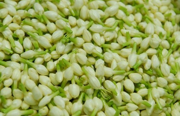 நரம்புத் தளர்ச்சி உள்ளவர்கள் மல்லிகைப் பூவை காய வைத்து பொடியாக்கி தேனில் குழைத்து இரு ஸ்பூன் சாப்பிட குணமாகும். நரம்புத் தளர்ச்சி உள்ளவர்கள் மல்லிகைப் பூவை காய வைத்து பொடியாக்கி தேனில் குழைத்து இரு ஸ்பூன் சாப்பிட குணமாகும்.