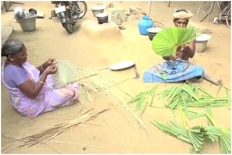புதுக்கோட்டையில் வாழ்வாதாரம் இழந்து தவிக்கும் பனை விசிறி தயாரிக்கும் தொழிலாளர்கள் புதுக்கோட்டையில் வாழ்வாதாரம் இழந்து தவிக்கும் பனை விசிறி தயாரிக்கும் தொழிலாளர்கள்