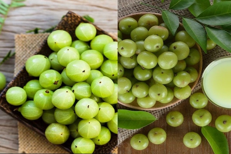 முழு நெல்லிக்காய் இந்தியாவிற்கு கிடைத்த வரம் எனலாம். இதை ஆங்கிலத்தில் indian gooseberry என வெளிநாட்டினர் அழைக்கின்றனர். அத்தனை மருத்துவ குணங்களை உள்ளடக்கியது. அதன் மகத்துவ பலன்களைப் பற்றி தெரிந்துகொண்டால் தினமும் ஒன்று சாப்பிட நினைப்பீர்கள். முழு நெல்லிக்காய் இந்தியாவிற்கு கிடைத்த வரம் எனலாம். இதை ஆங்கிலத்தில் indian gooseberry என வெளிநாட்டினர் அழைக்கின்றனர். அத்தனை மருத்துவ குணங்களை உள்ளடக்கியது. அதன் மகத்துவ பலன்களைப் பற்றி தெரிந்துகொண்டால் தினமும் ஒன்று சாப்பிட நினைப்பீர்கள்.