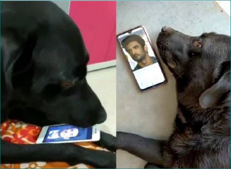 மன அழுத்தம் காரணமாக தற்கொலை செய்து கொண்டதாகக் கூறப்படும் சுஷாந்த் சிங்கின் மரணம் இன்னும் தீர்வு கிடைக்காத ரகசியமாகவே உள்ளது. மன அழுத்தம் காரணமாக தற்கொலை செய்து கொண்டதாகக் கூறப்படும் சுஷாந்த் சிங்கின் மரணம் இன்னும் தீர்வு கிடைக்காத ரகசியமாகவே உள்ளது.