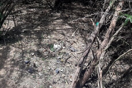 நாகையில் மனித எலும்புக்கூடு கண்டெடுப்பு: கொலையா? போலீஸ் விசாரணை நாகையில் மனித எலும்புக்கூடு கண்டெடுப்பு: கொலையா? போலீஸ் விசாரணை