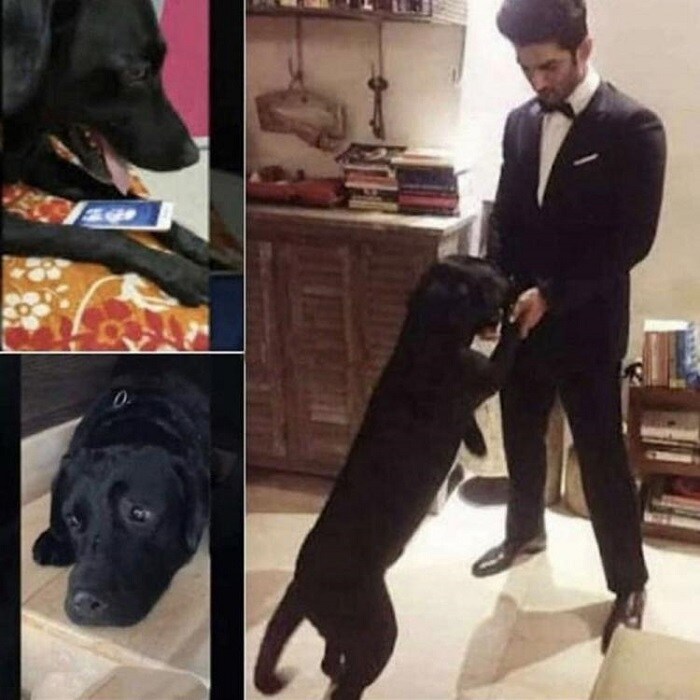 இந்நிலையில் அவரின் பிரிவைத் தாங்க முடியாத அவர் வளர்த்த ஃபட்ஜ் செல்ல நாயின் உருக்கமான புகைப்படங்கள் சமூக வலைதளங்களில் பரவி வருகிறது. இந்நிலையில் அவரின் பிரிவைத் தாங்க முடியாத அவர் வளர்த்த ஃபட்ஜ் செல்ல நாயின் உருக்கமான புகைப்படங்கள் சமூக வலைதளங்களில் பரவி வருகிறது.