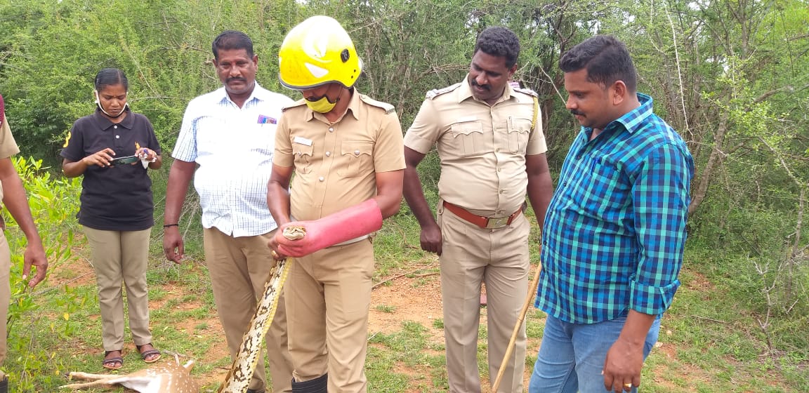 இதை பார்த்தவர்கள் திருப்பத்தூர் தீயணைப்புத் துறையினர் மற்றும் குன்றக்குடி போலீஸாருக்கு தகவல் தெரிவித்தனர். இதை பார்த்தவர்கள் திருப்பத்தூர் தீயணைப்புத் துறையினர் மற்றும் குன்றக்குடி போலீஸாருக்கு தகவல் தெரிவித்தனர்.