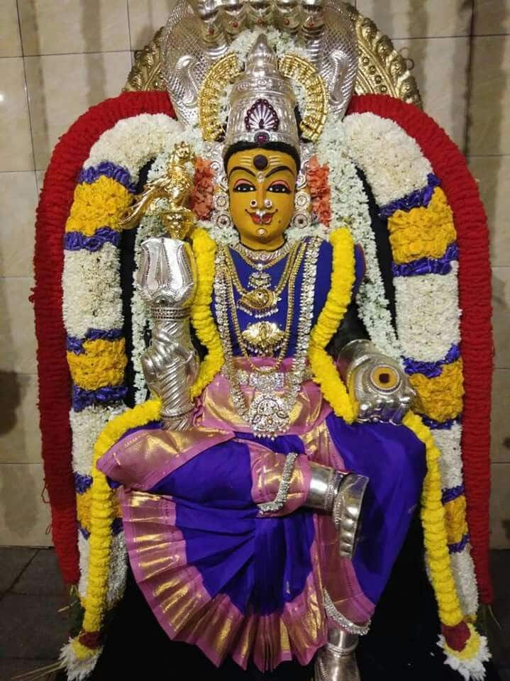 கோவை உடுமலைப்பேட்டை மாரியம்மனை வழிபட்டால் பெண்களின் மாங்கல்ய தோஷம் நீங்கும். தாலி பலம் பெருகும். கோவை உடுமலைப்பேட்டை மாரியம்மனை வழிபட்டால் பெண்களின் மாங்கல்ய தோஷம் நீங்கும். தாலி பலம் பெருகும்.